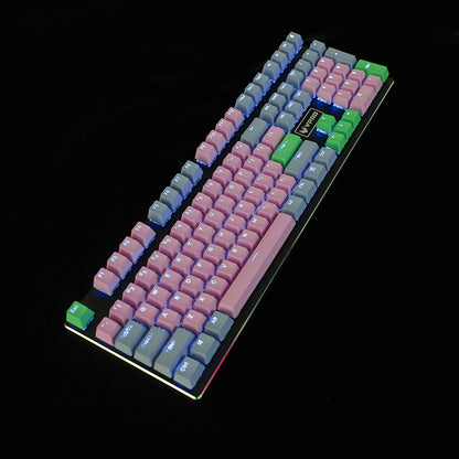 Rainbow mechanical keyboard with customizable RGB lighting and tactile mechanical switches for gaming and typing.