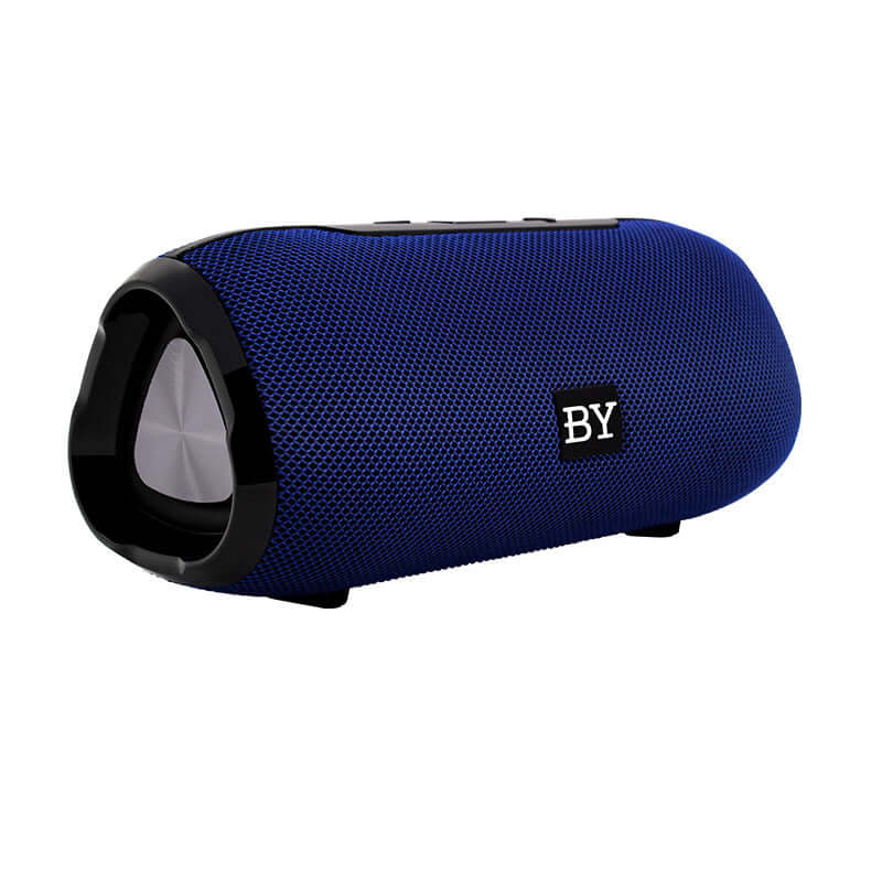 Bluetooth wireless speaker in blue color with mesh design and built-in FM radio feature.
